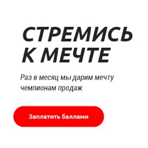 "Чемпионы Bridgestone" 